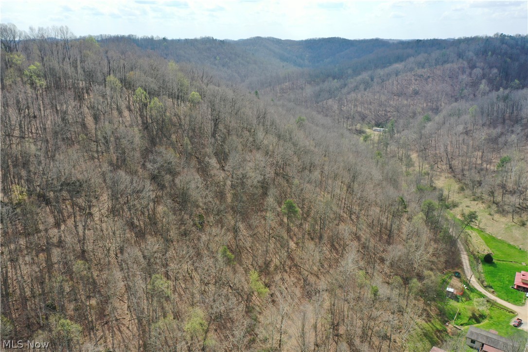 1536 Jakes Fork Road Property Photo 19