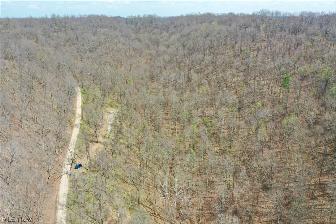 1536 Jakes Fork Road Property Photo 21