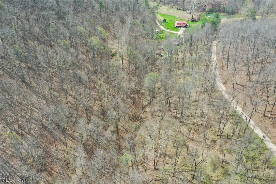 1536 Jakes Fork Road Property Photo 22