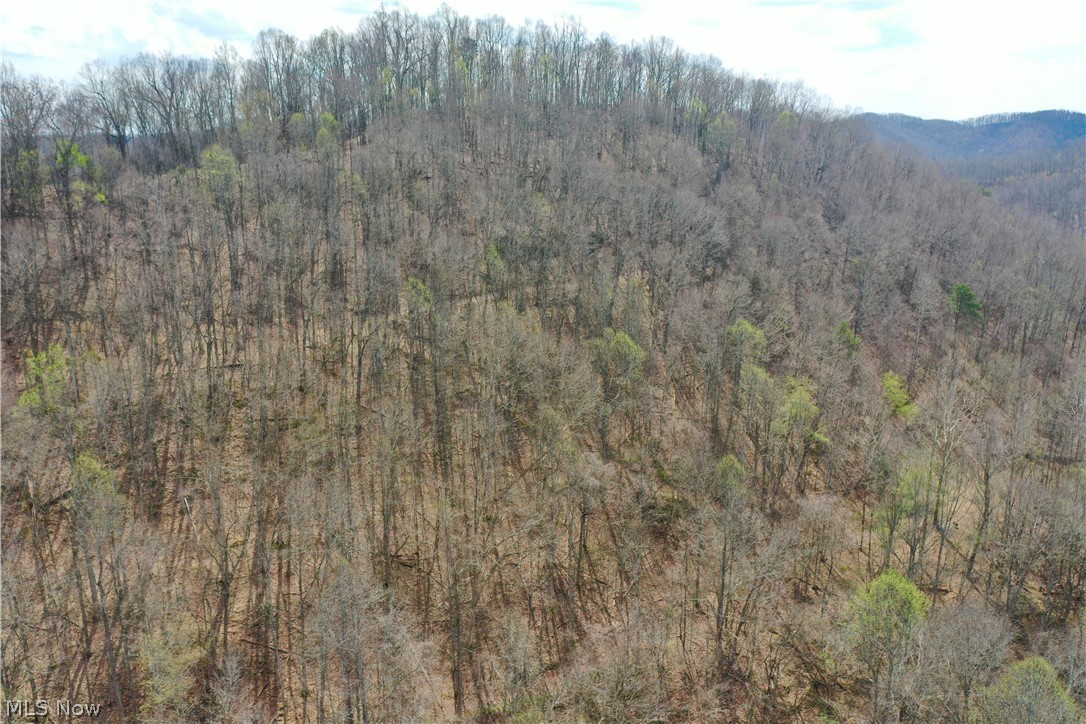 1536 Jakes Fork Road Property Photo 23