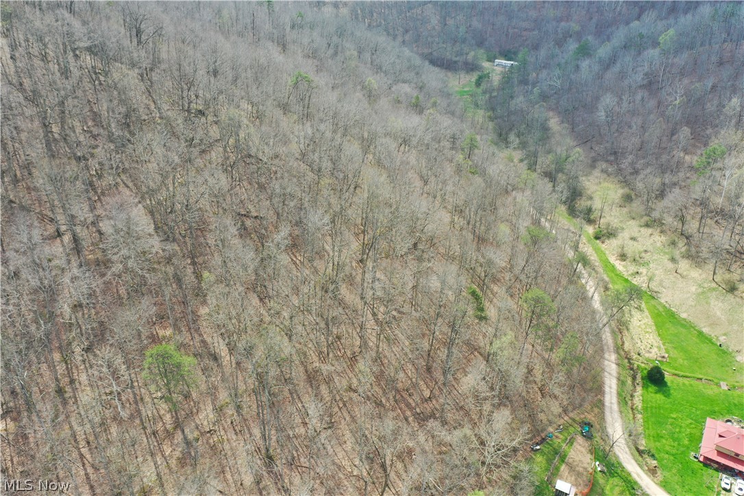 1536 Jakes Fork Road Property Photo 24