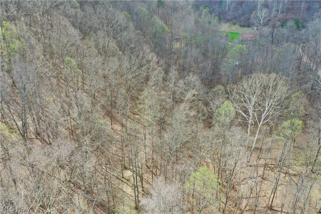 1536 Jakes Fork Road Property Photo 25