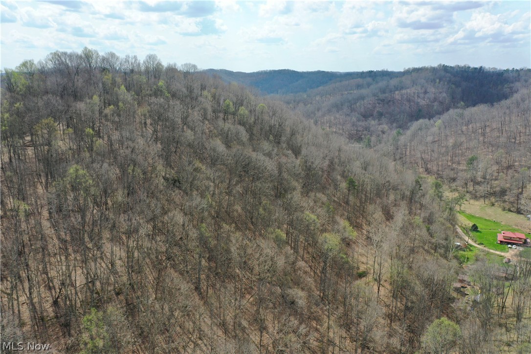 1536 Jakes Fork Road Property Photo 26