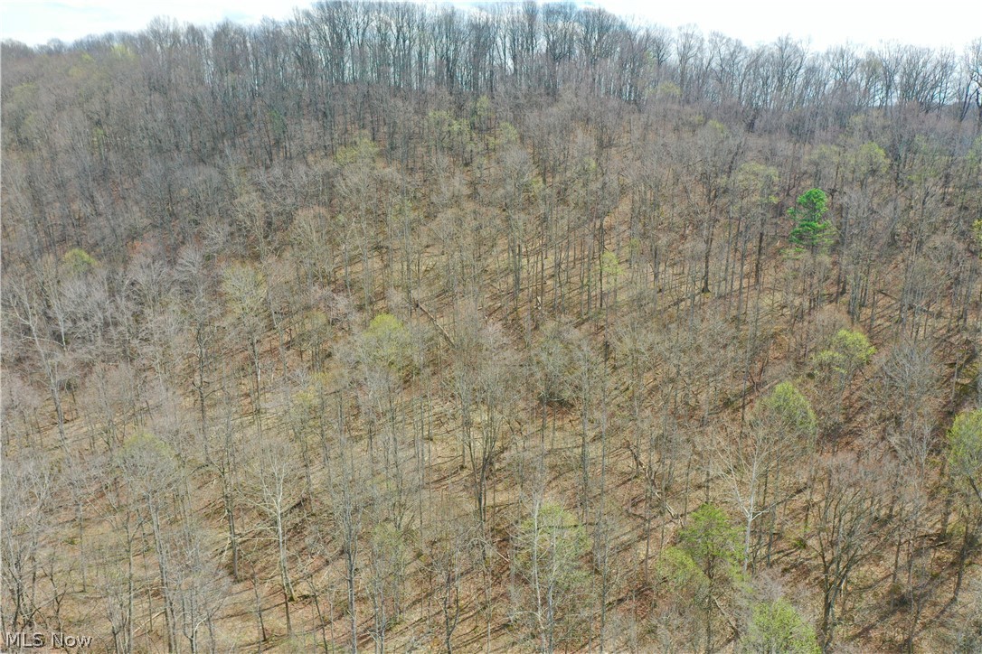 1536 Jakes Fork Road Property Photo 27