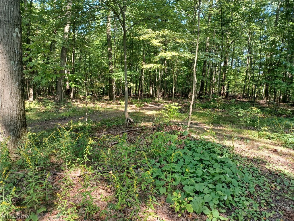 695 S Hubbard Road Property Photo 1
