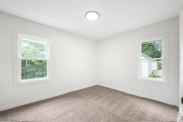 1146 Packard Drive Property Photo 13