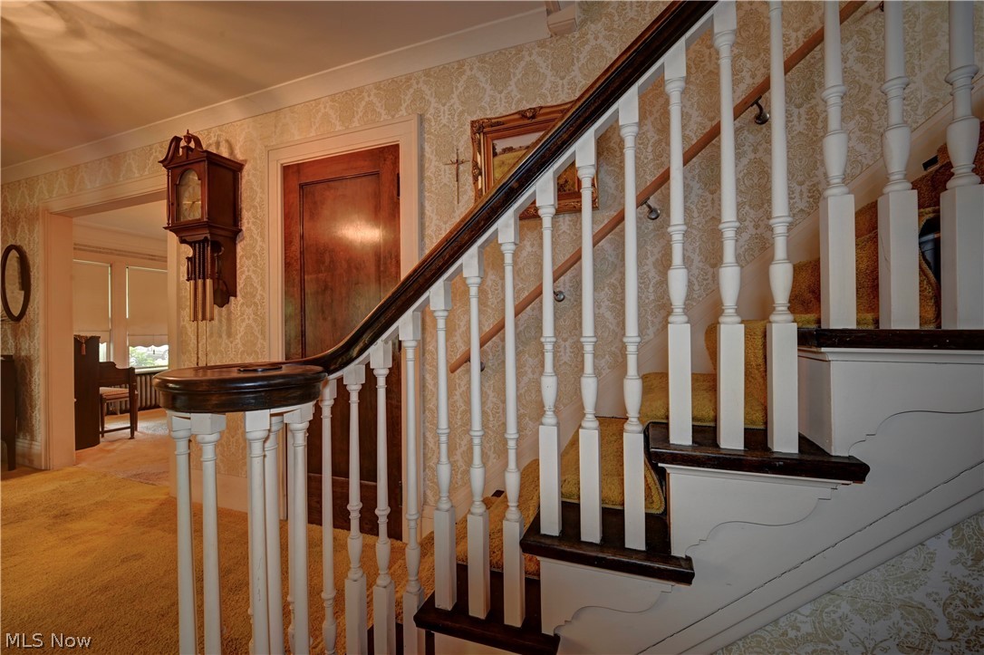 226 Storer Avenue Property Photo 9