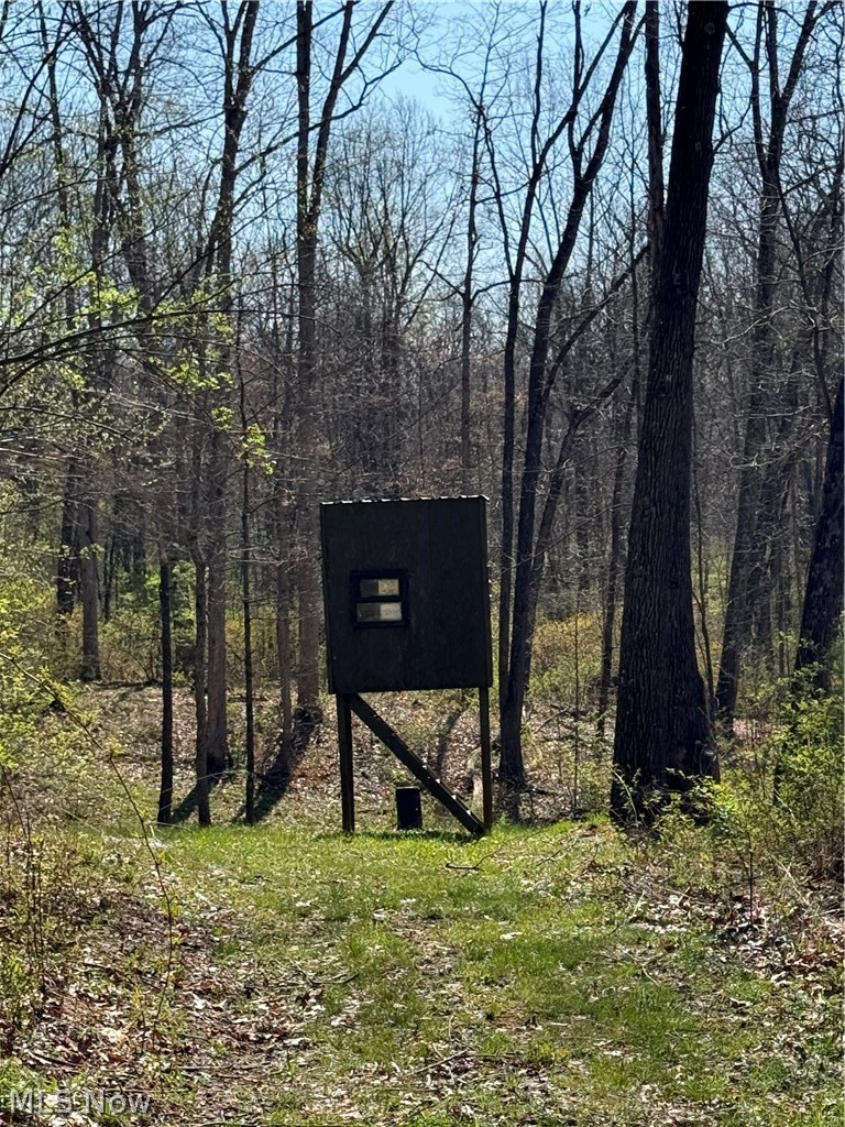 8902 N State Route 78 Property Photo 19