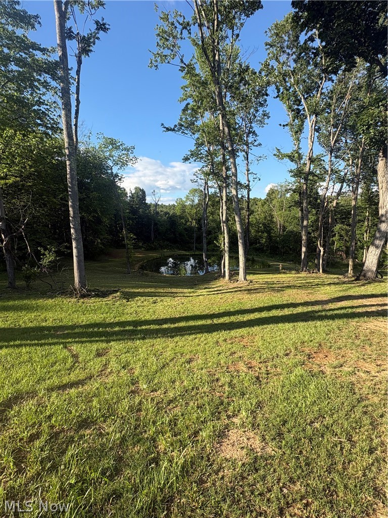 8902 N State Route 78 Property Photo 22