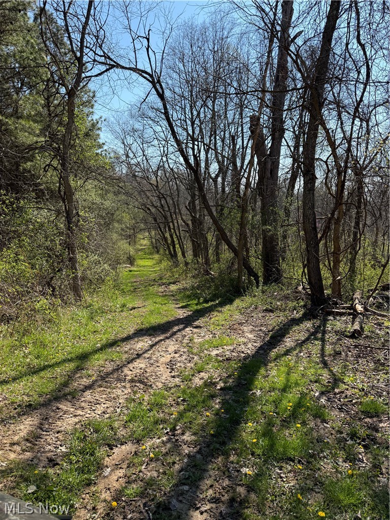 8902 N State Route 78 Property Photo 25