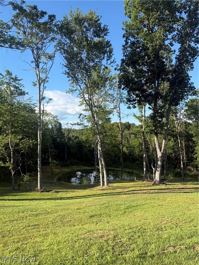 8902 N State Route 78 Property Photo 28