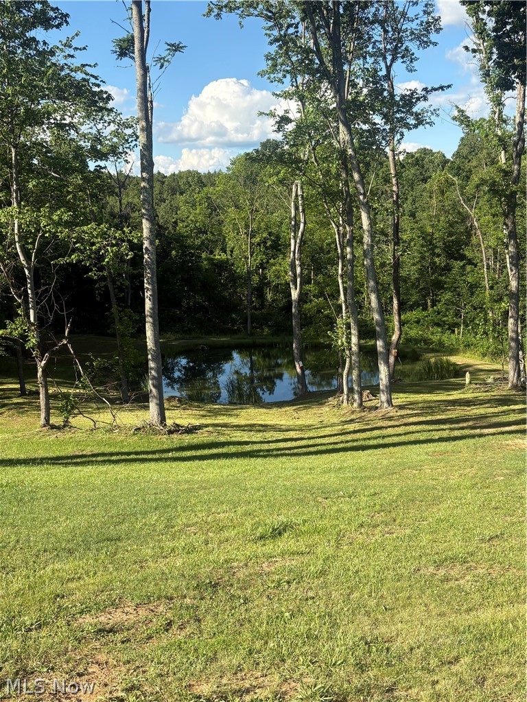 8902 N State Route 78 Property Photo 38