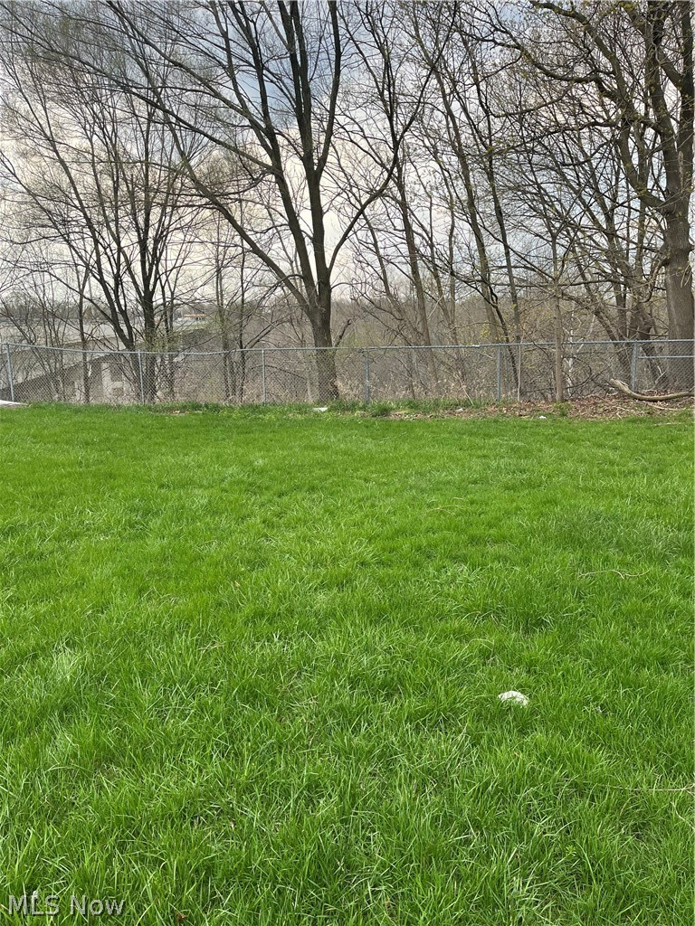 Schenley Avenue Property Photo 4
