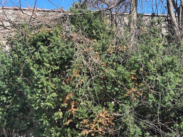 632 E 162nd Street Property Photo 15