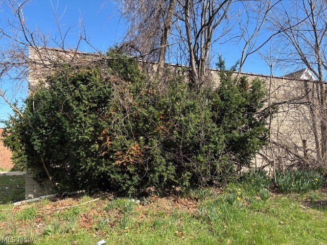 632 E 162nd Street Property Photo 17