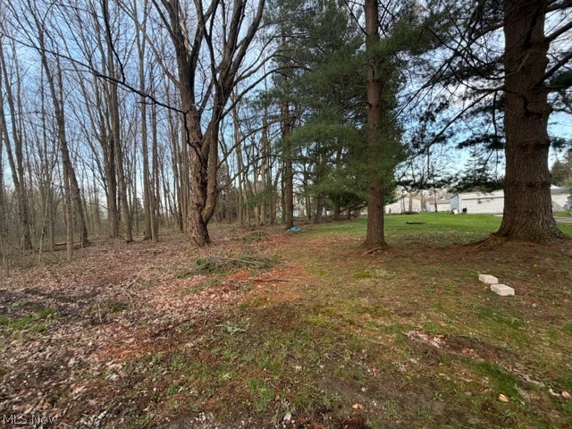 Willow Street Property Photo 2