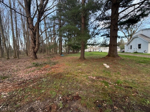 Willow Street Property Photo 3