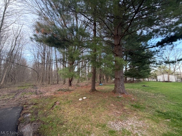 Willow Street Property Photo 6