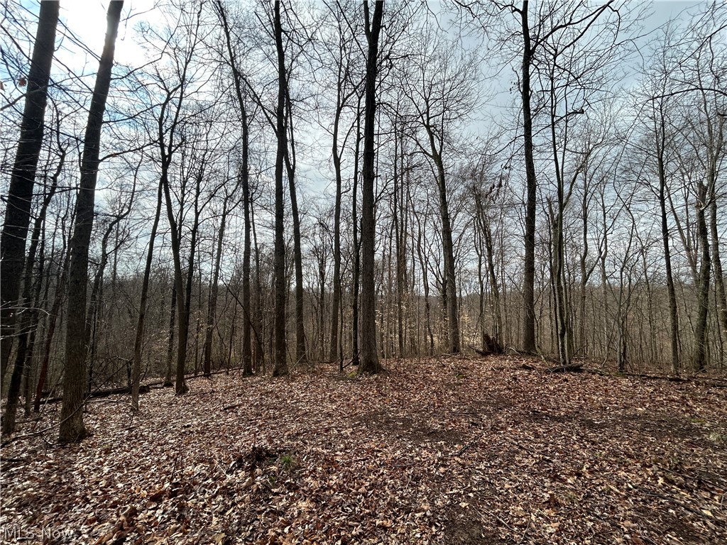 Wilbur Bush Road Property Photo 1