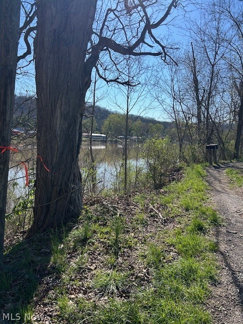 0 Old River Road Property Photo 2