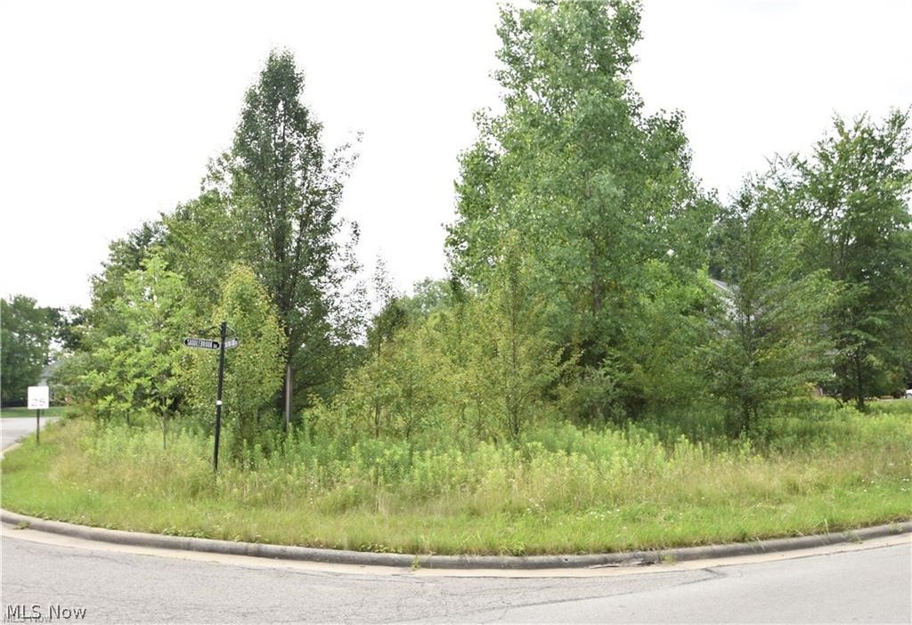 Saddlebrook Lot 123 Drive Property Photo 2