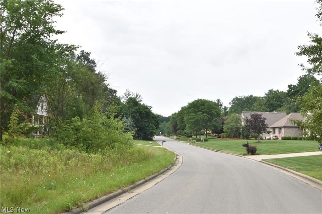 Saddlebrook Lot 123 Drive Property Photo 3