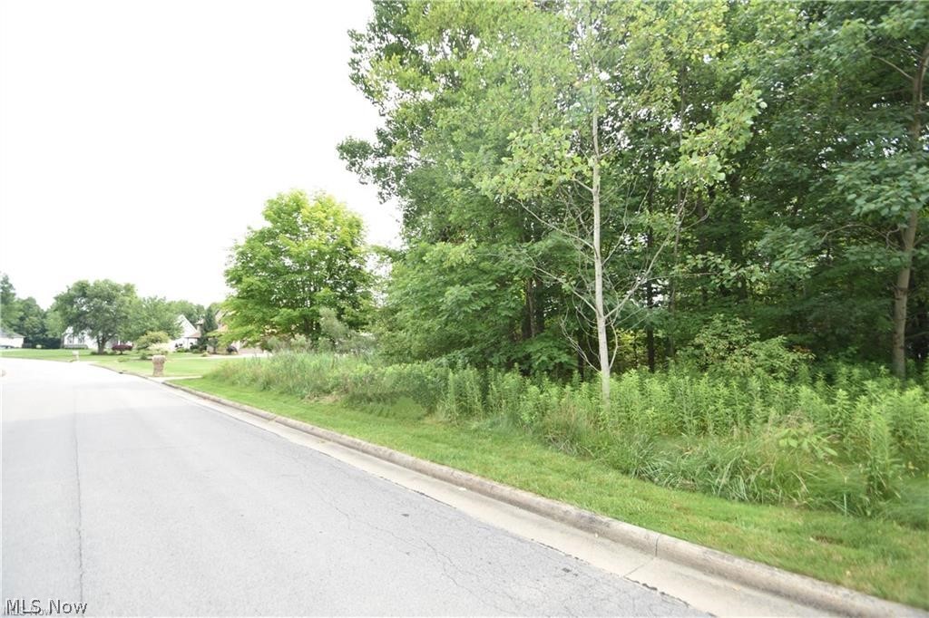 Saddlebrook Lot 123 Drive Property Photo 4
