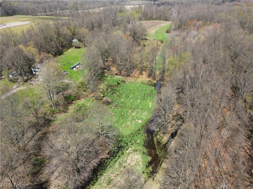 10537 Gilbert Road Property Photo 4