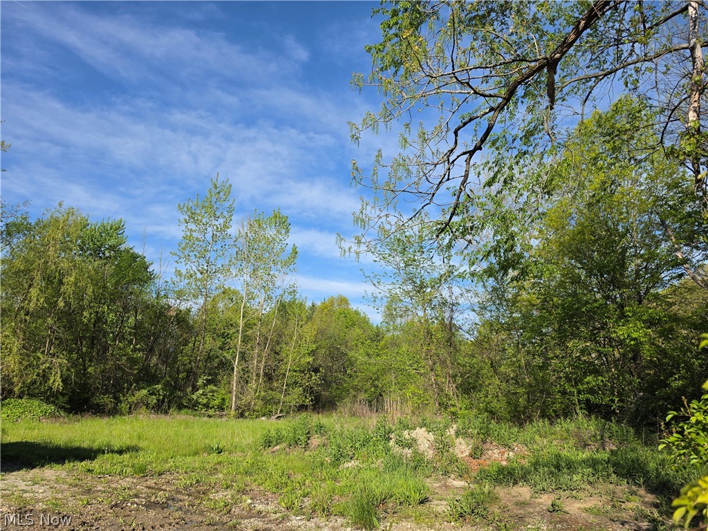 7830 Olde 8 Road Property Photo 14