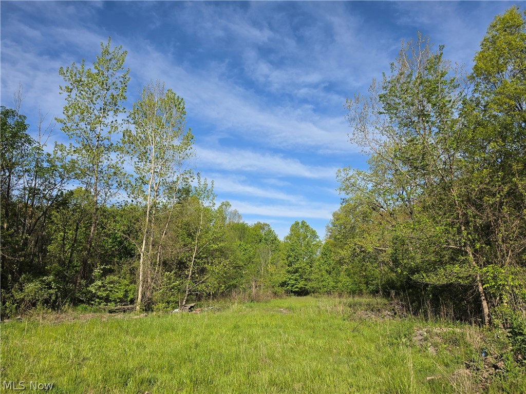 7830 Olde 8 Road Property Photo 15