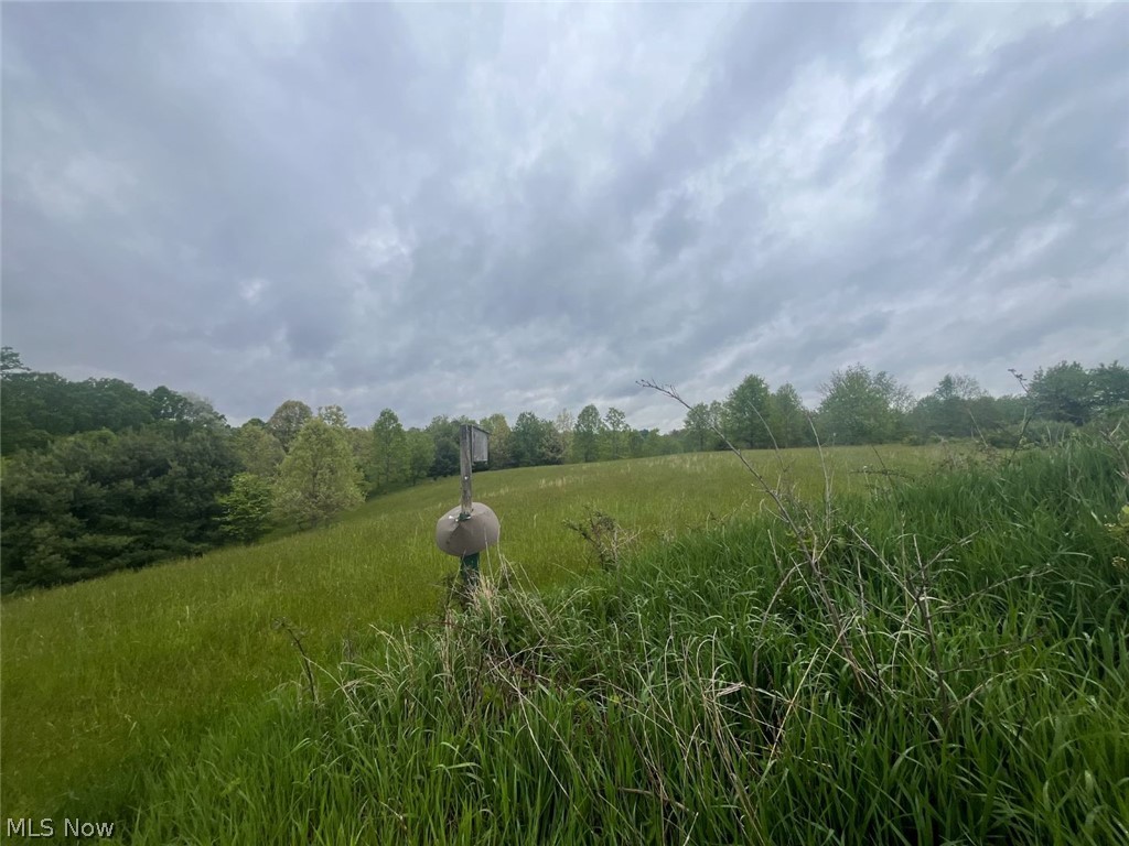 87085 Crall Road Property Photo 3