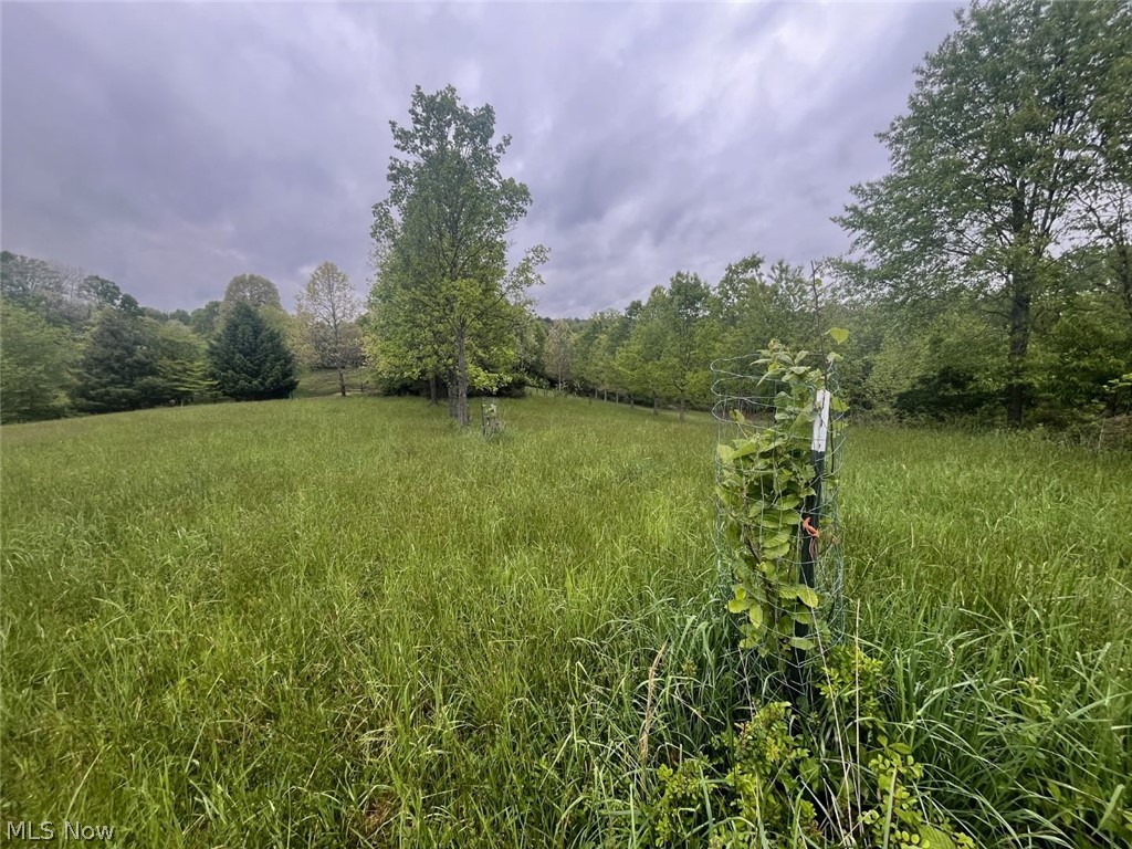 87085 Crall Road Property Photo 5