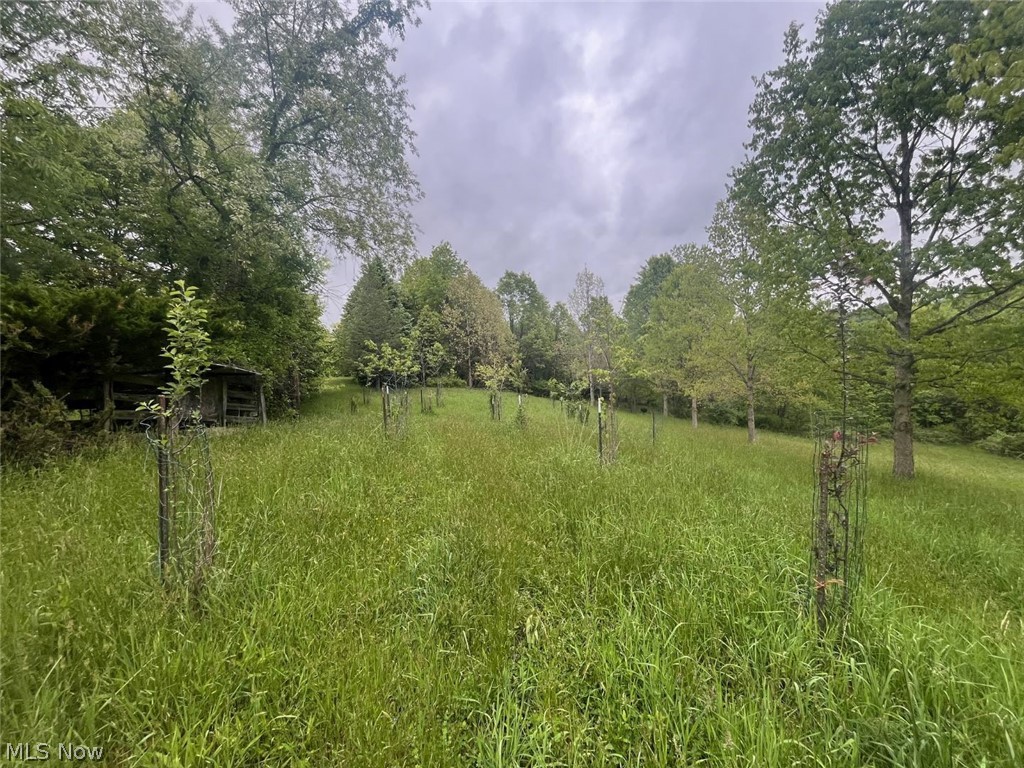 87085 Crall Road Property Photo 6