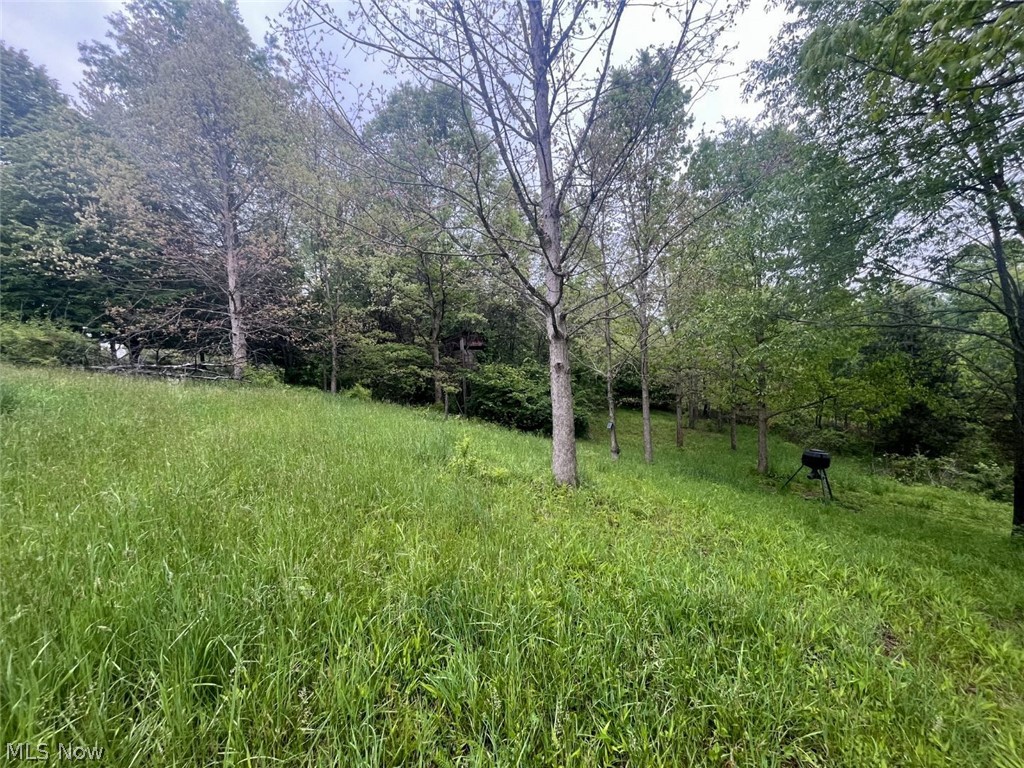 87085 Crall Road Property Photo 7