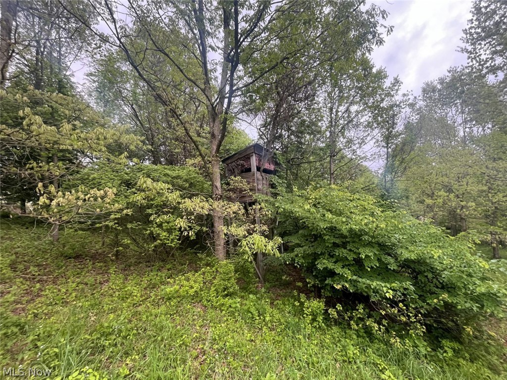 87085 Crall Road Property Photo 8