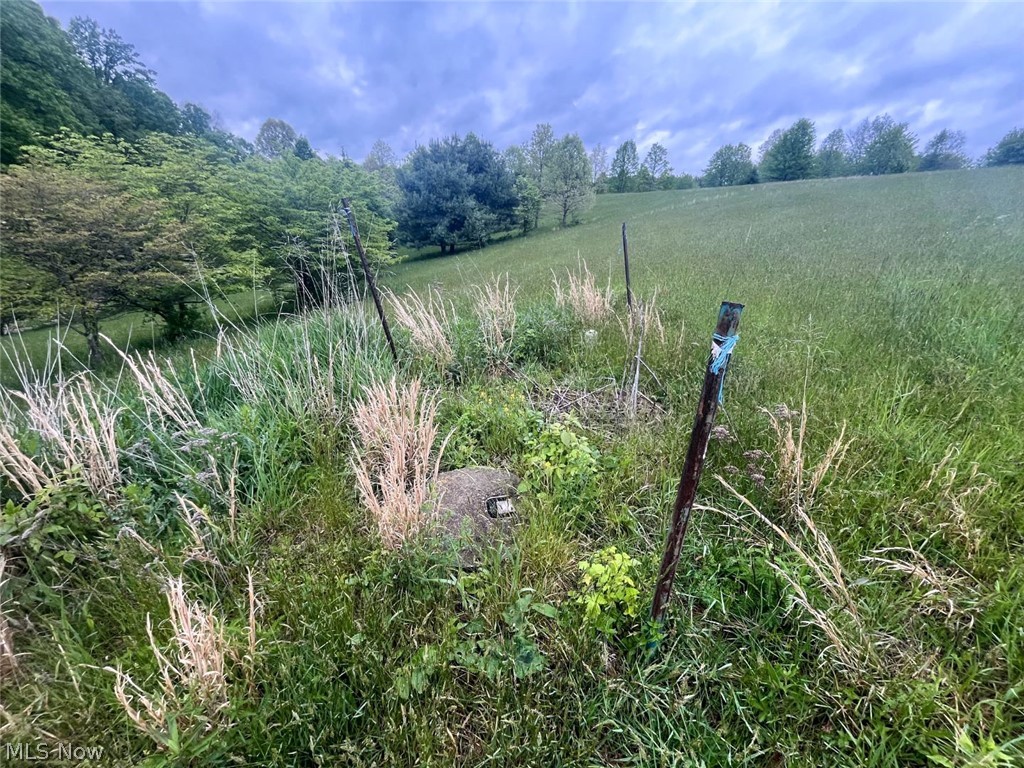 87085 Crall Road Property Photo 14