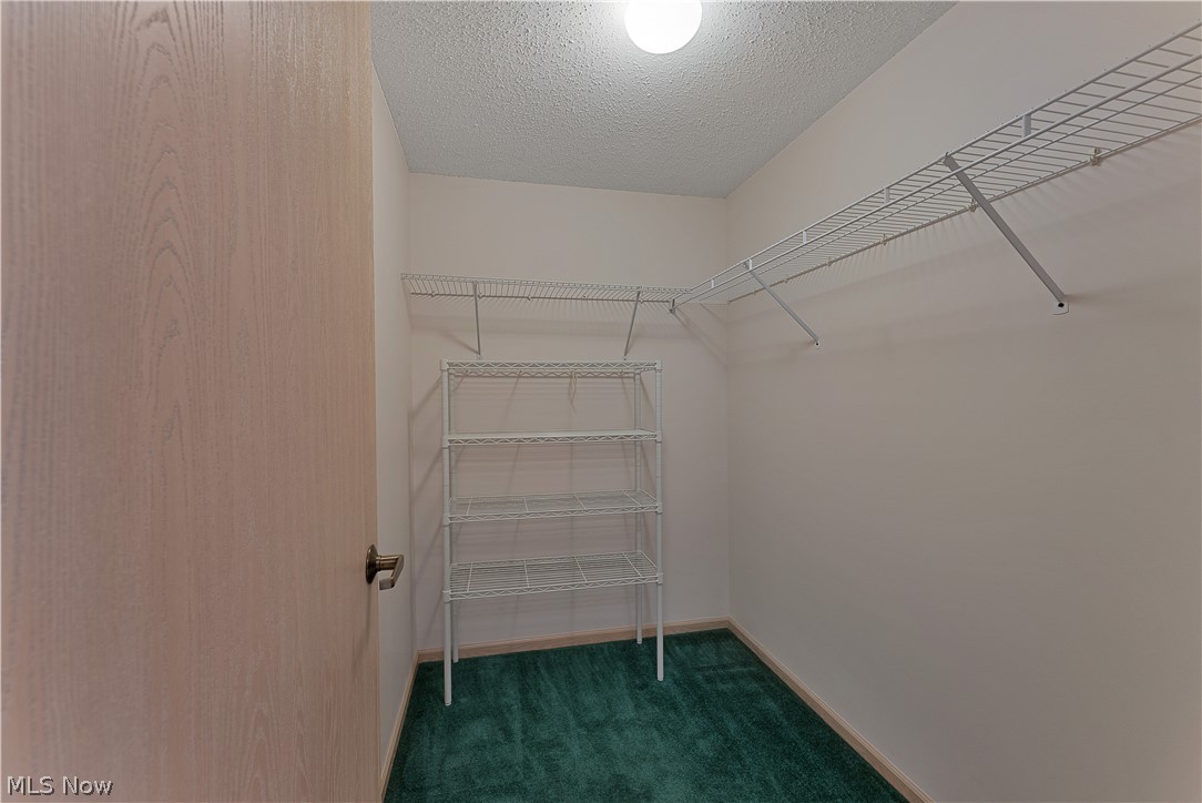 695 E Western Reserve Road 602 Property Photo 21
