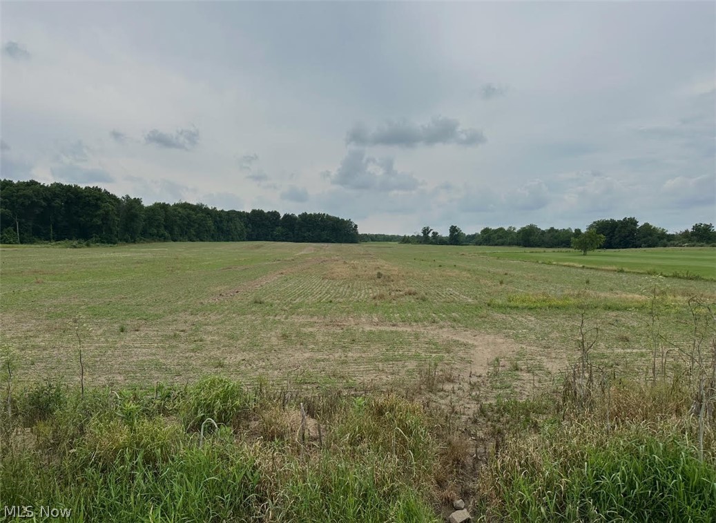 568 Co Rd 175 Property Photo 1