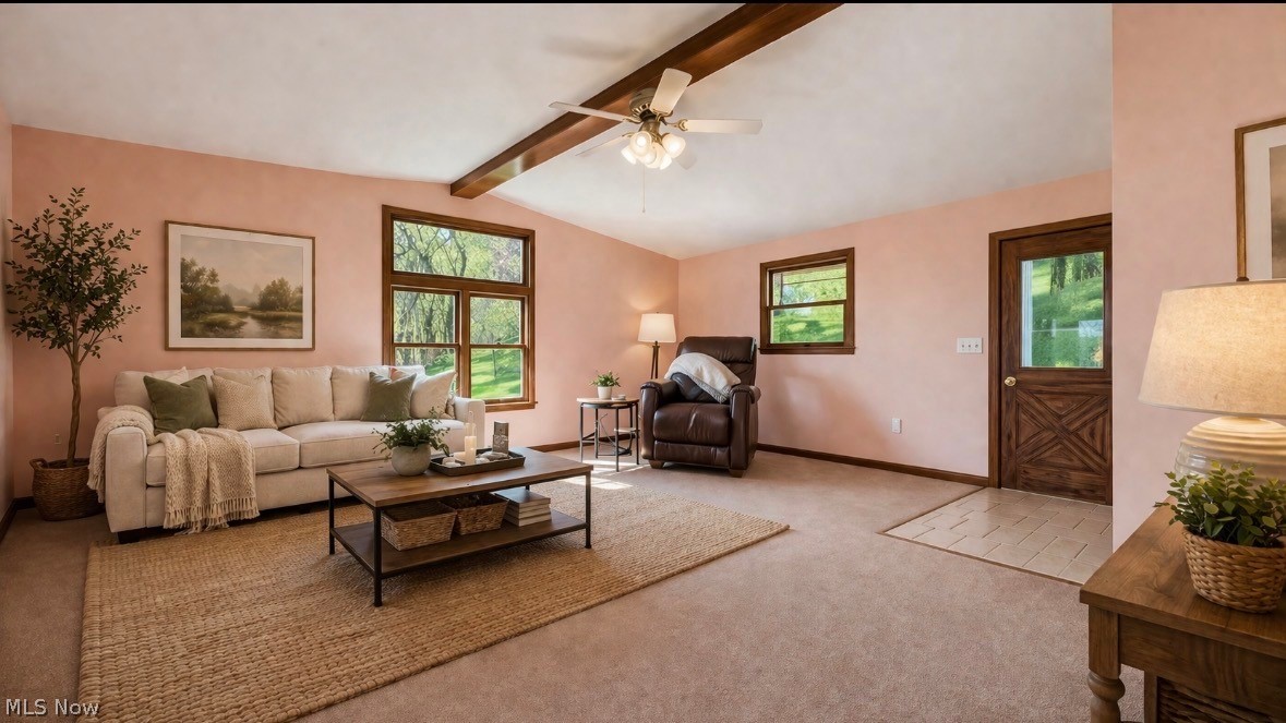 10155 Old River Road Property Photo 8