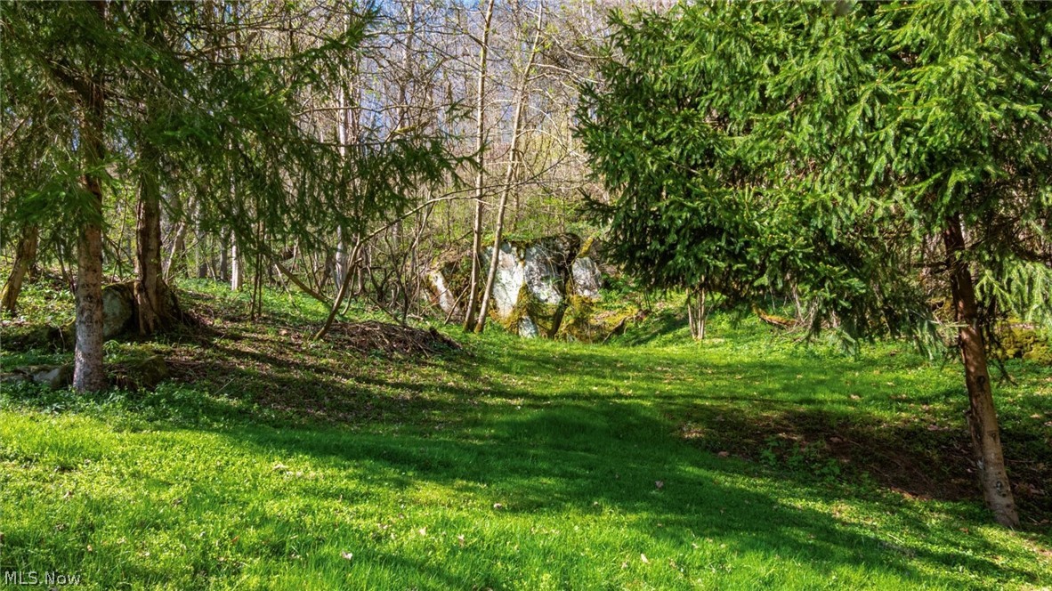 10155 Old River Road Property Photo 33