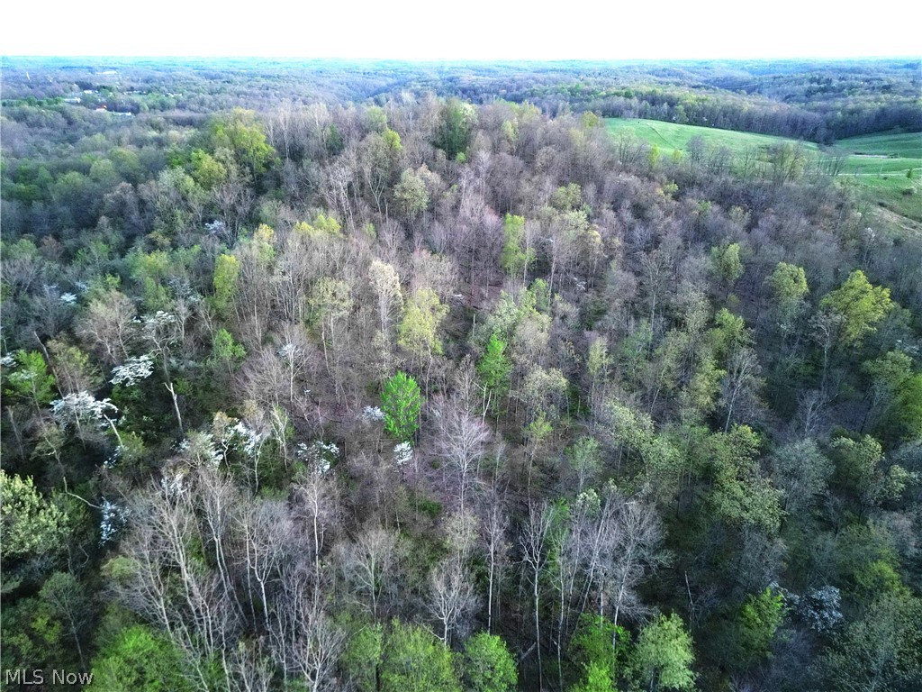 Zane Road Property Photo 2