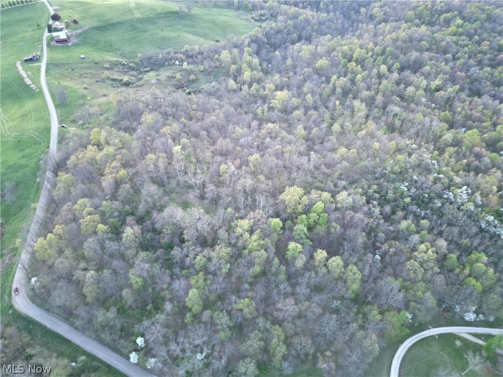 Zane Road Property Photo 4