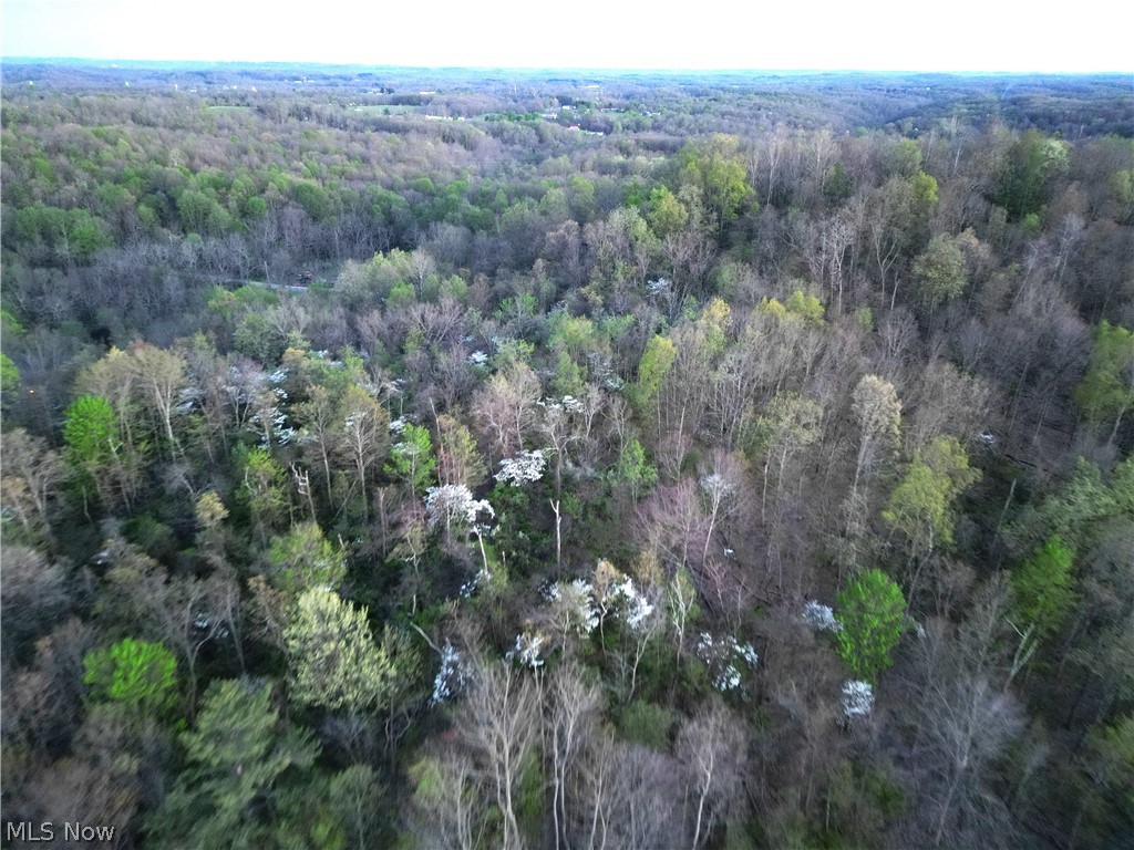 Zane Road Property Photo 6