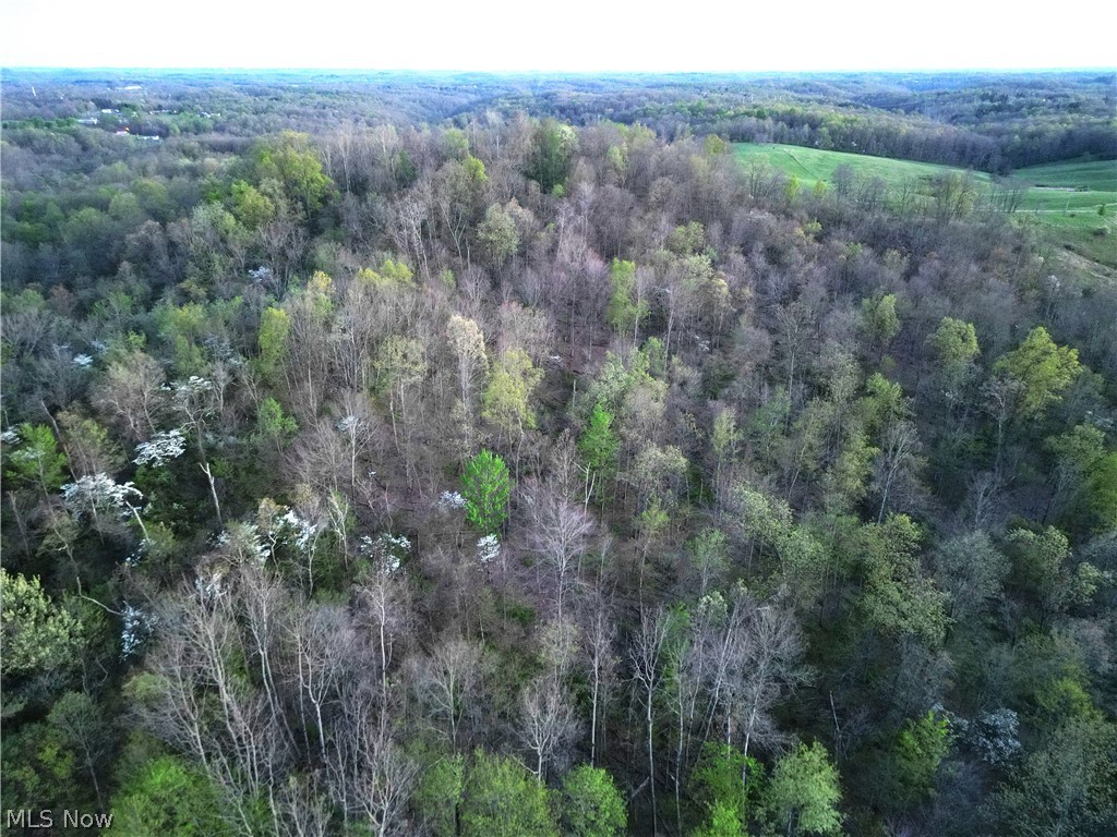 Zane Road Property Photo 7