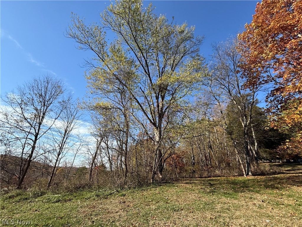 0 State Route 646 Property Photo 4
