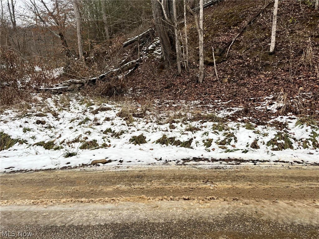 Rt 29/1 Grannies Creek Rd. Property Photo 1