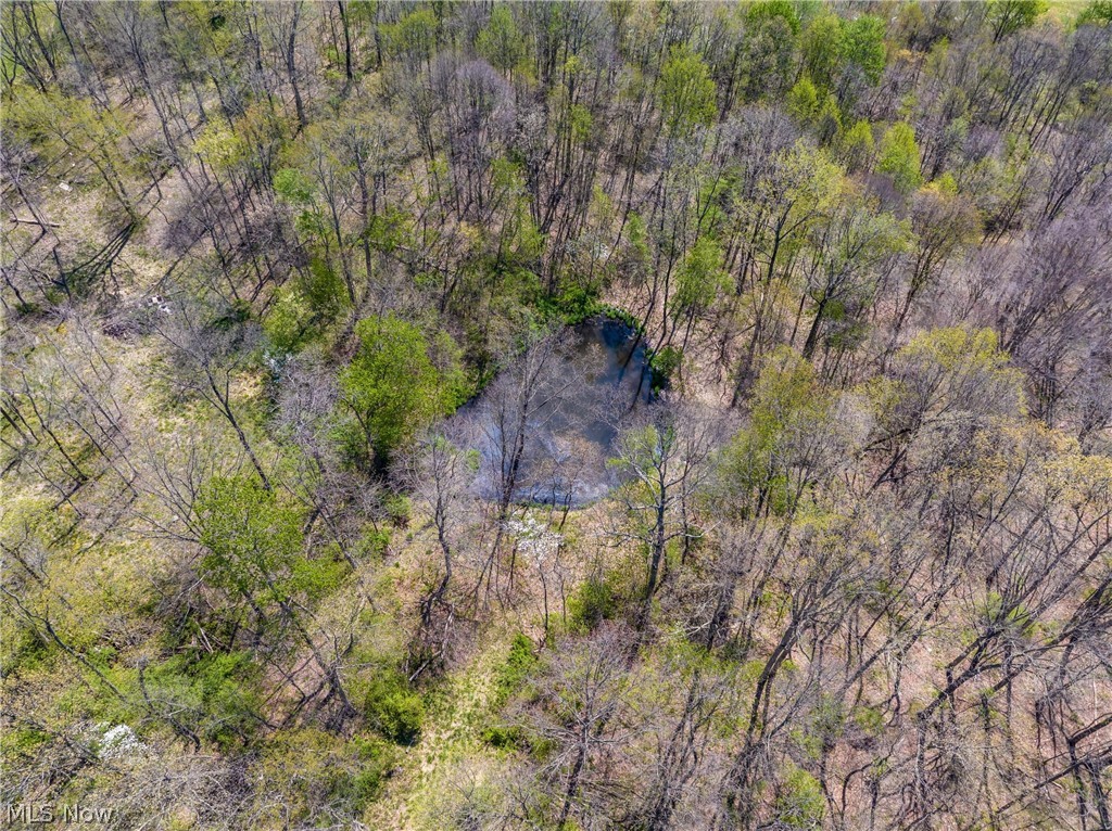 Bagley Road Property Photo 12