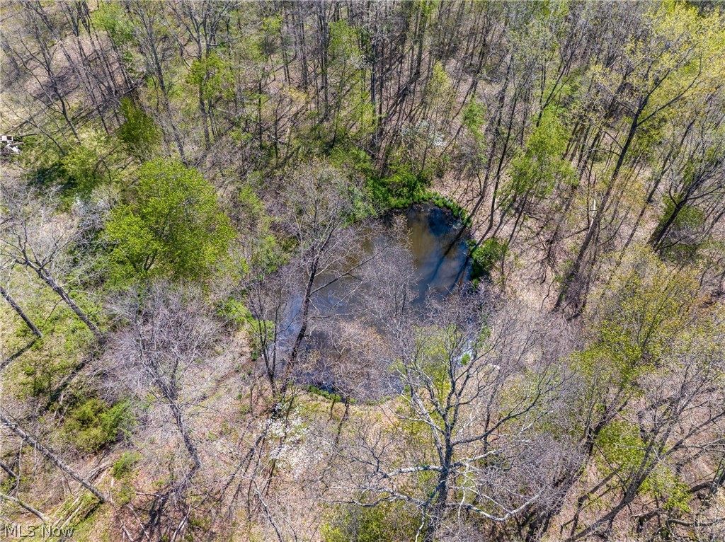 Bagley Road Property Photo 13