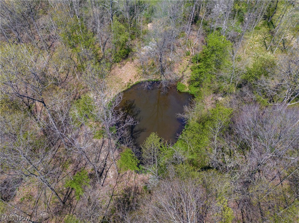Bagley Road Property Photo 14