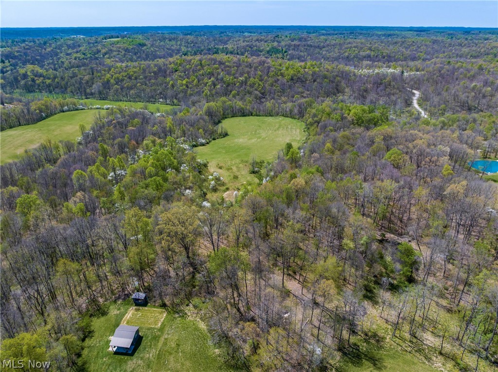 Bagley Road Property Photo 18